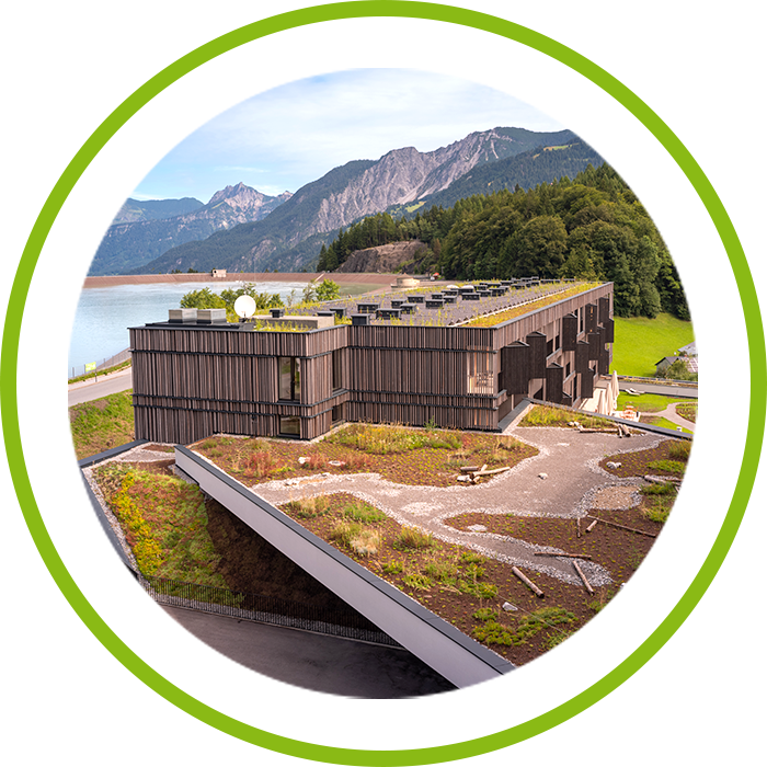 Planung und Bau von Dachbegrünungen